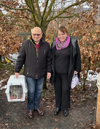 Adopce Balů a Ron Adopce Balů a Ron
