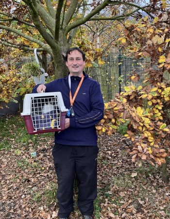 Adopce Dalmatin a packáč zahradníci Adopce Dalmatin a packáč zahradníci