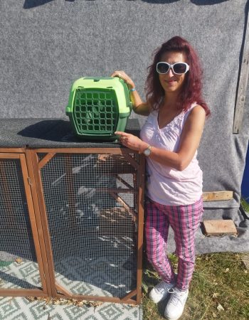 Adopce Mirďas Adopce Mirďas