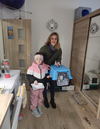 Adopce Zuzka Adopce Zuzka