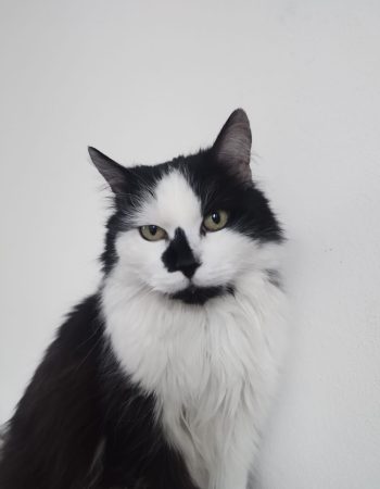 Richard 3